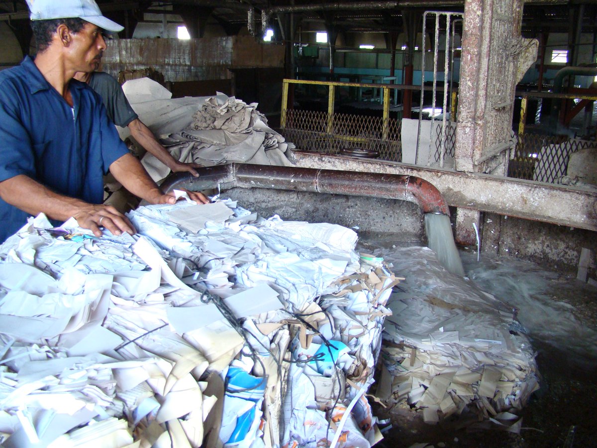 Reciclar ♻️ aluminio y papel ahorra hasta un 95% de energía y reduce drásticamente las emisiones de CO₂. Es un impacto directo y efectivo contra el cambio climático, promueve la economía circular y representa una apuesta firme por la sostenibilidad y el futuro del planeta.