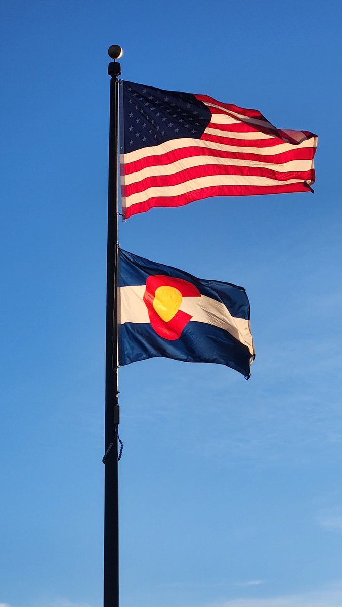 UselessFodder tweet media