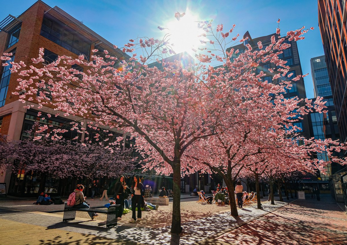 Stacey Barnfield tweet media