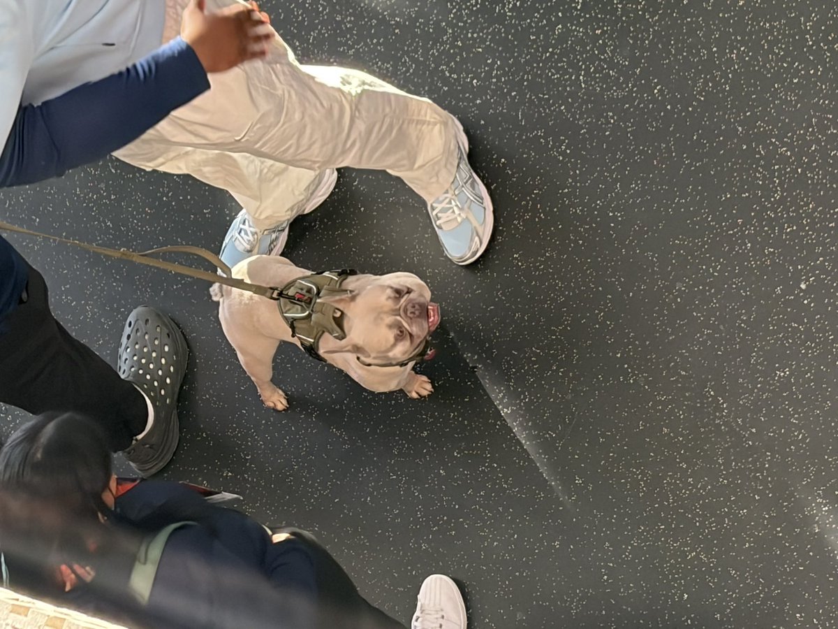 Greg Luca tweet media