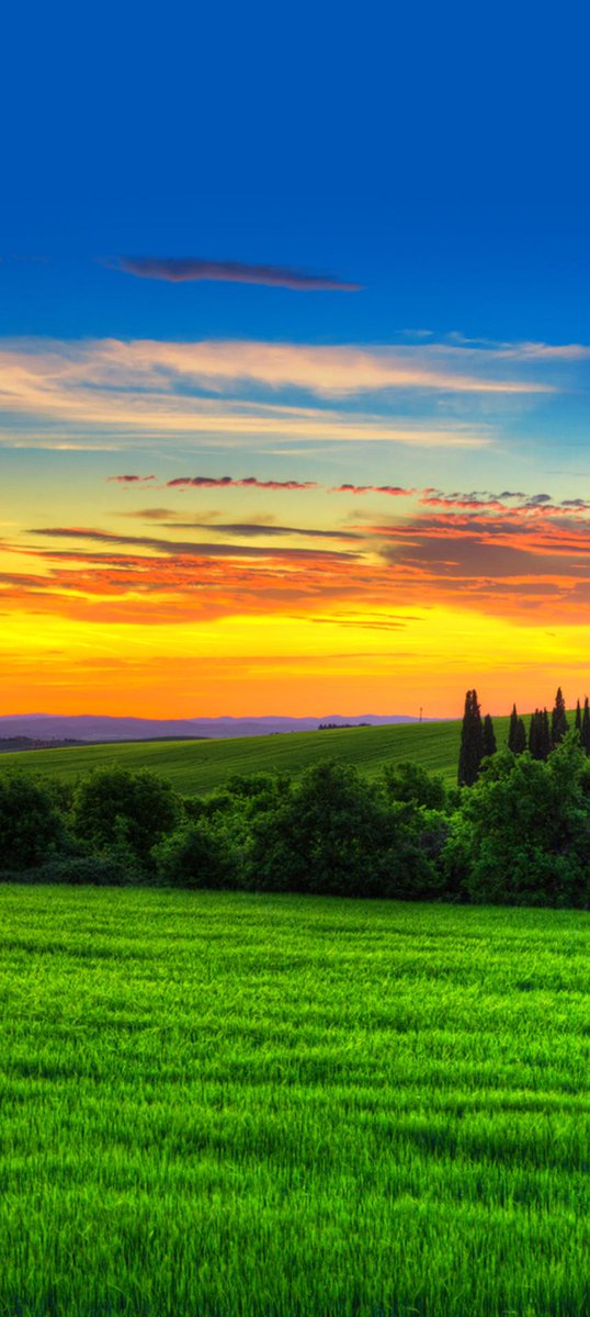 Mr Perfect tweet media