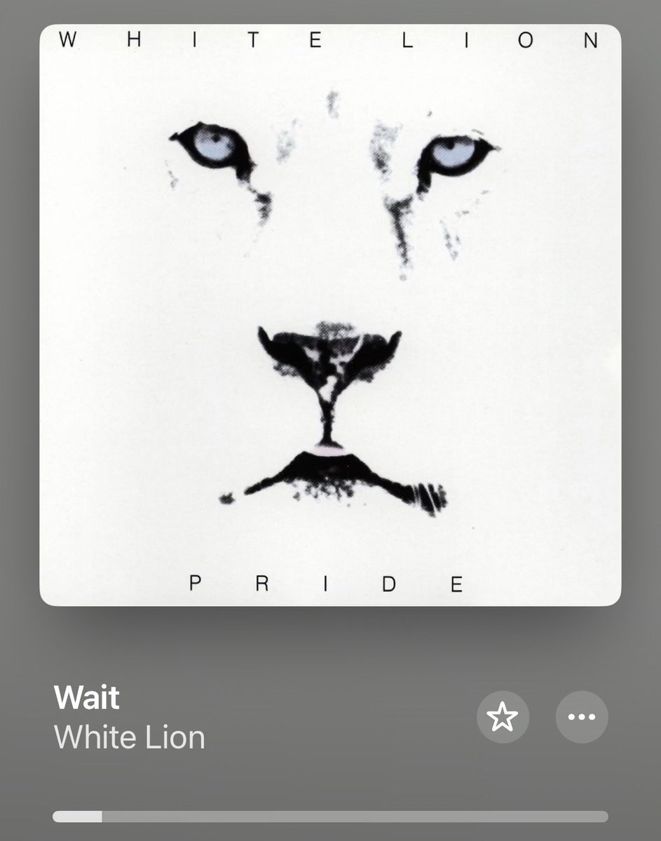 Dumper29 tweet media