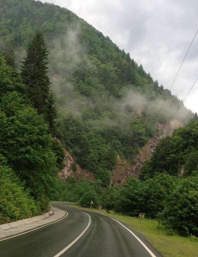 Gamzekskngmz's tweet photo. Gönül Karadenizi hep istiyor 💚 https://t.co/2XrepoS9Zm