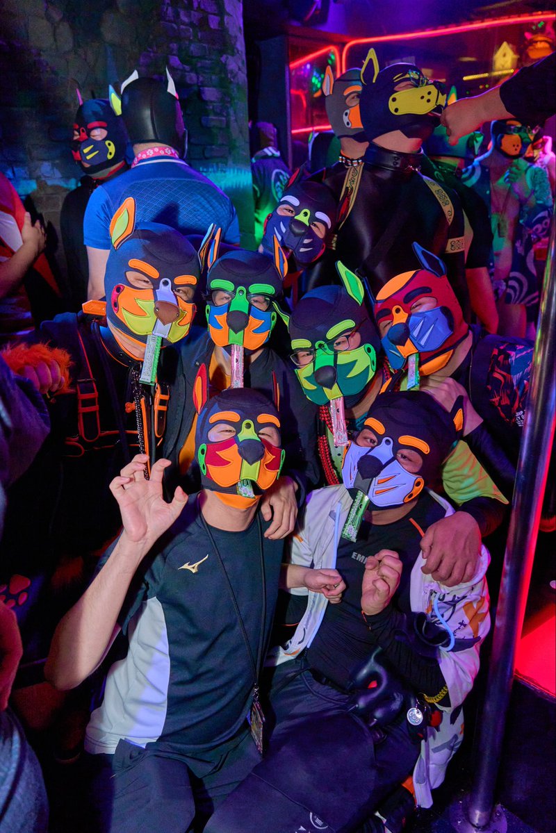 PUPPY MUZZLE tweet media