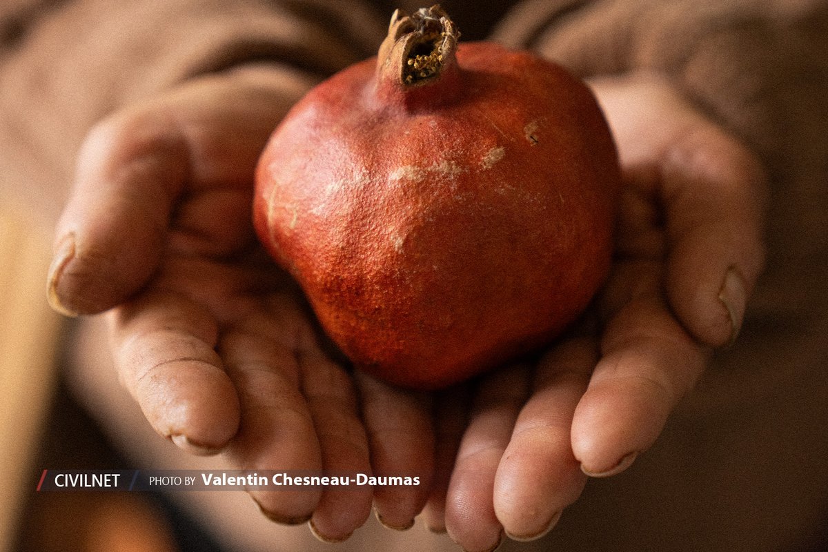 CIVILNET tweet media