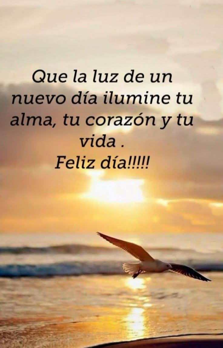 JavierS46032630's tweet photo. https://t.co/68dzrCmB6Y