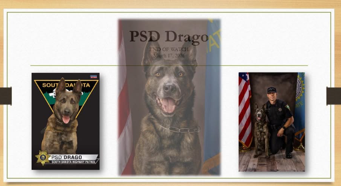 Sioux Falls Police tweet media