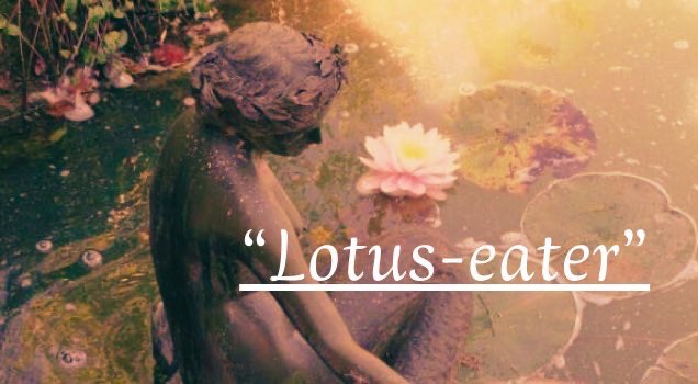 Sakura. 🌪️ tweet media