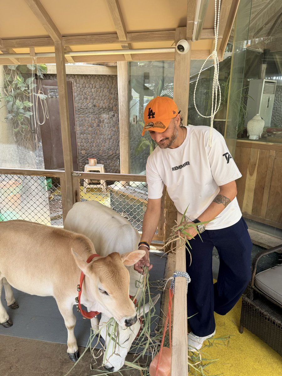 Harbhajan Turbanator tweet media