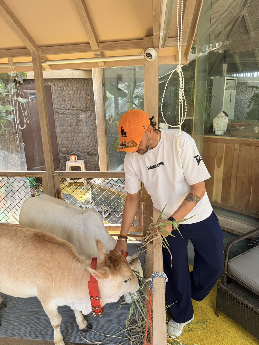 Harbhajan Turbanator tweet media