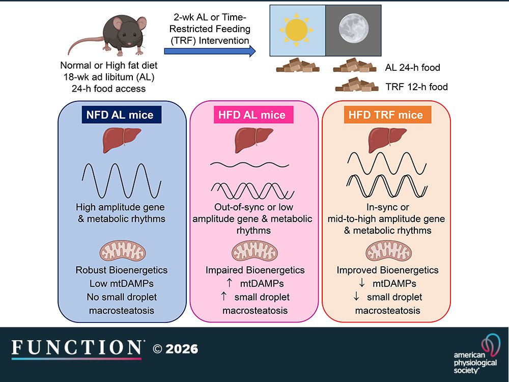 Function tweet media