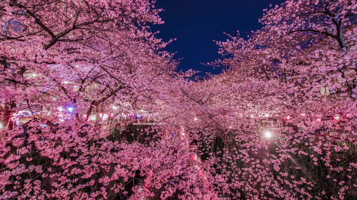 イベントチェッカー製作委員会 tweet media