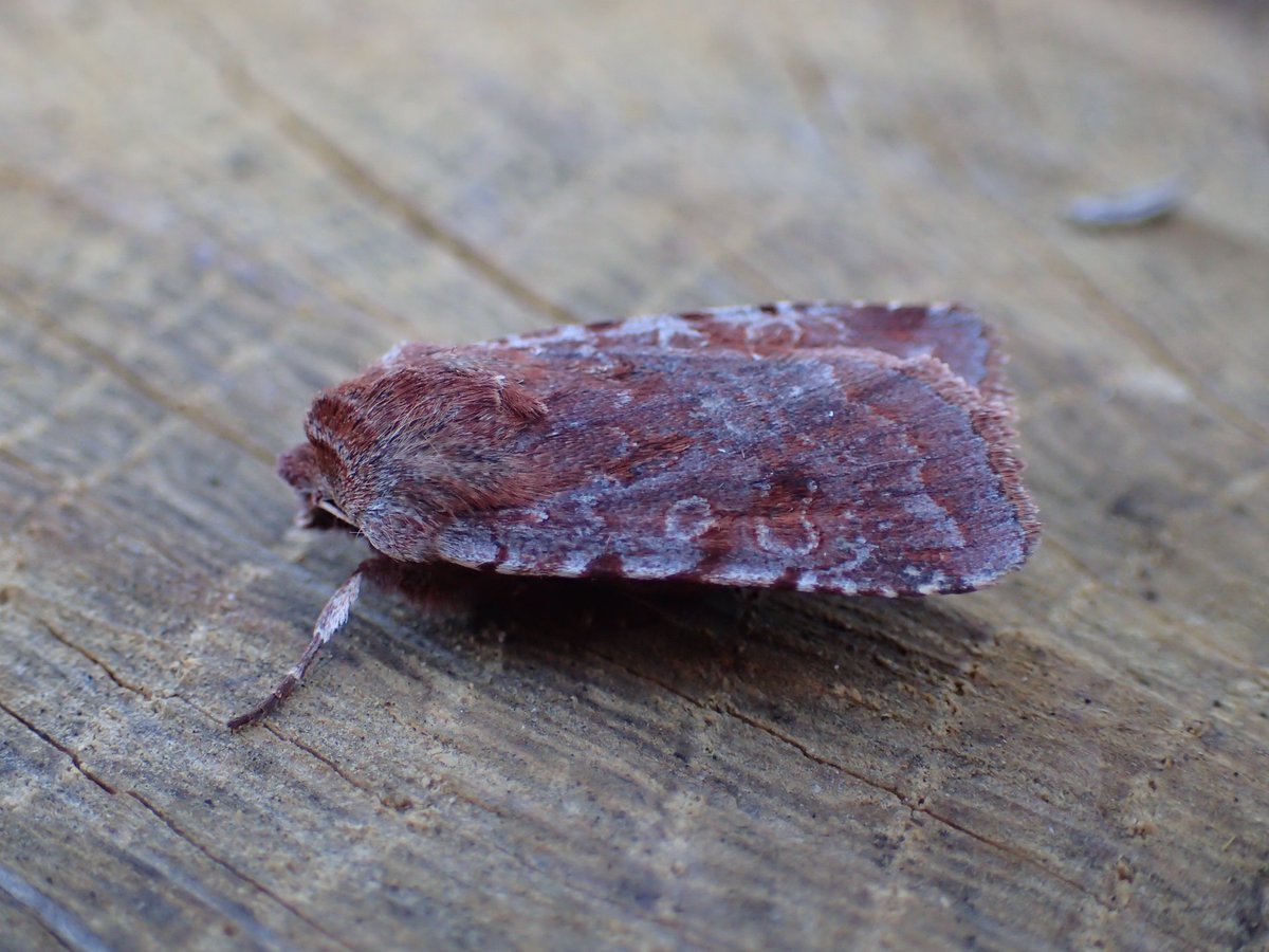 Mark Nowers tweet media