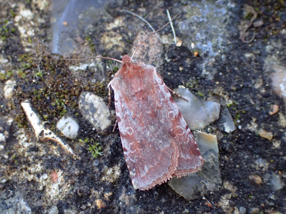 Mark Nowers tweet media