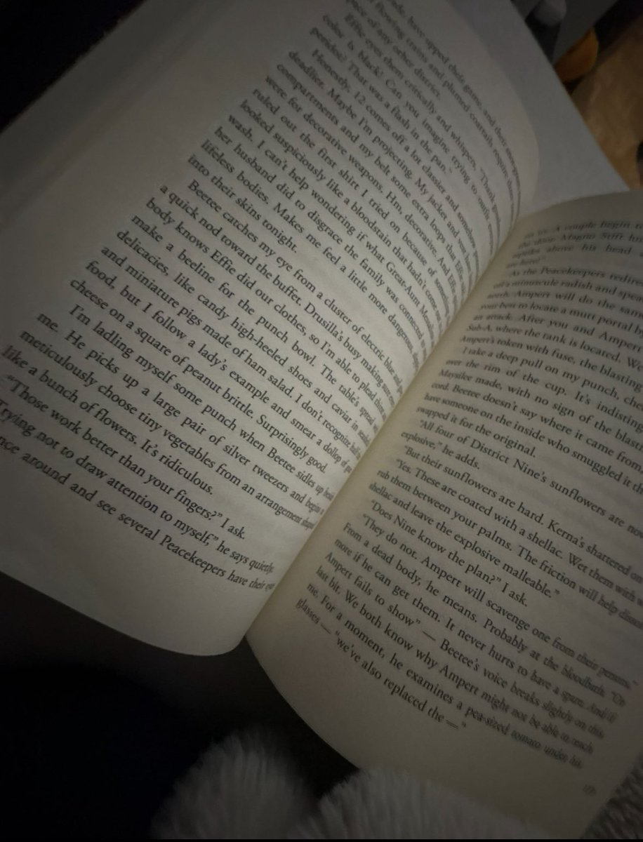 court 🔝 tweet media