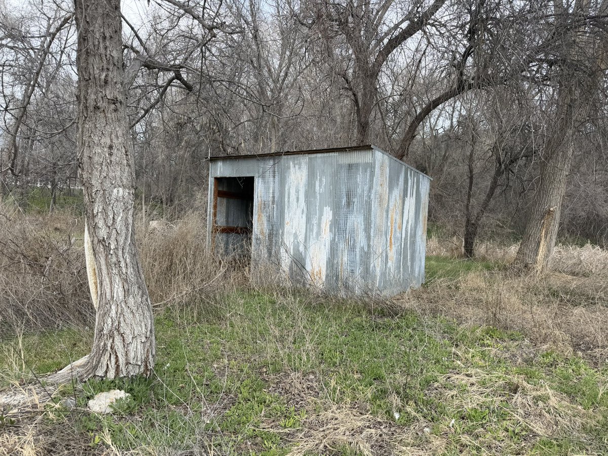 Kurt Steiner tweet media