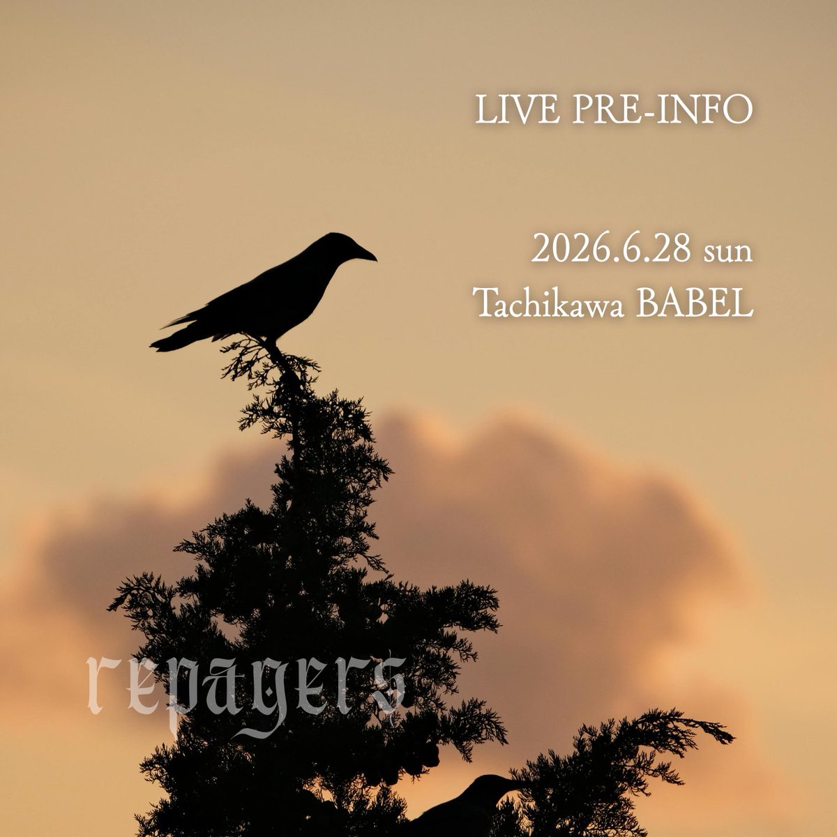 repagers tweet media