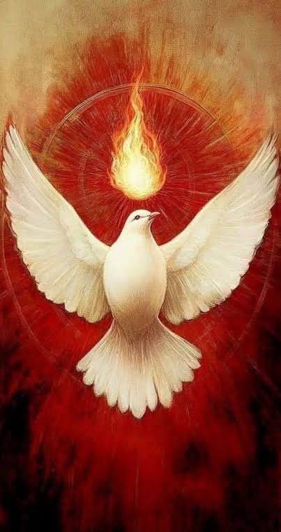 SkyVirginSon's tweet photo. Holy Spirit, guide me today. 🕊️ https://t.co/kpmMkhMNSV