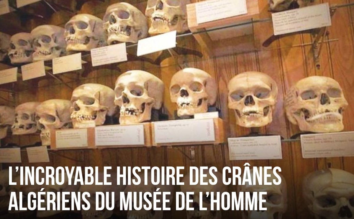 𝑩𝒍𝒖𝒆 𝑺𝒖𝒍𝒕𝒂𝒏⭐⭐ tweet media