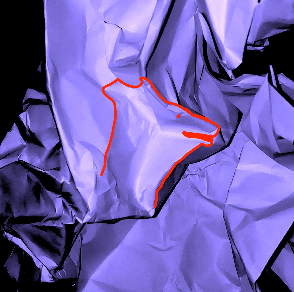 Treefrix 🏞️ tweet media