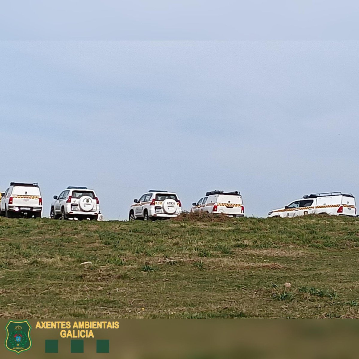 Aprafoga tweet media