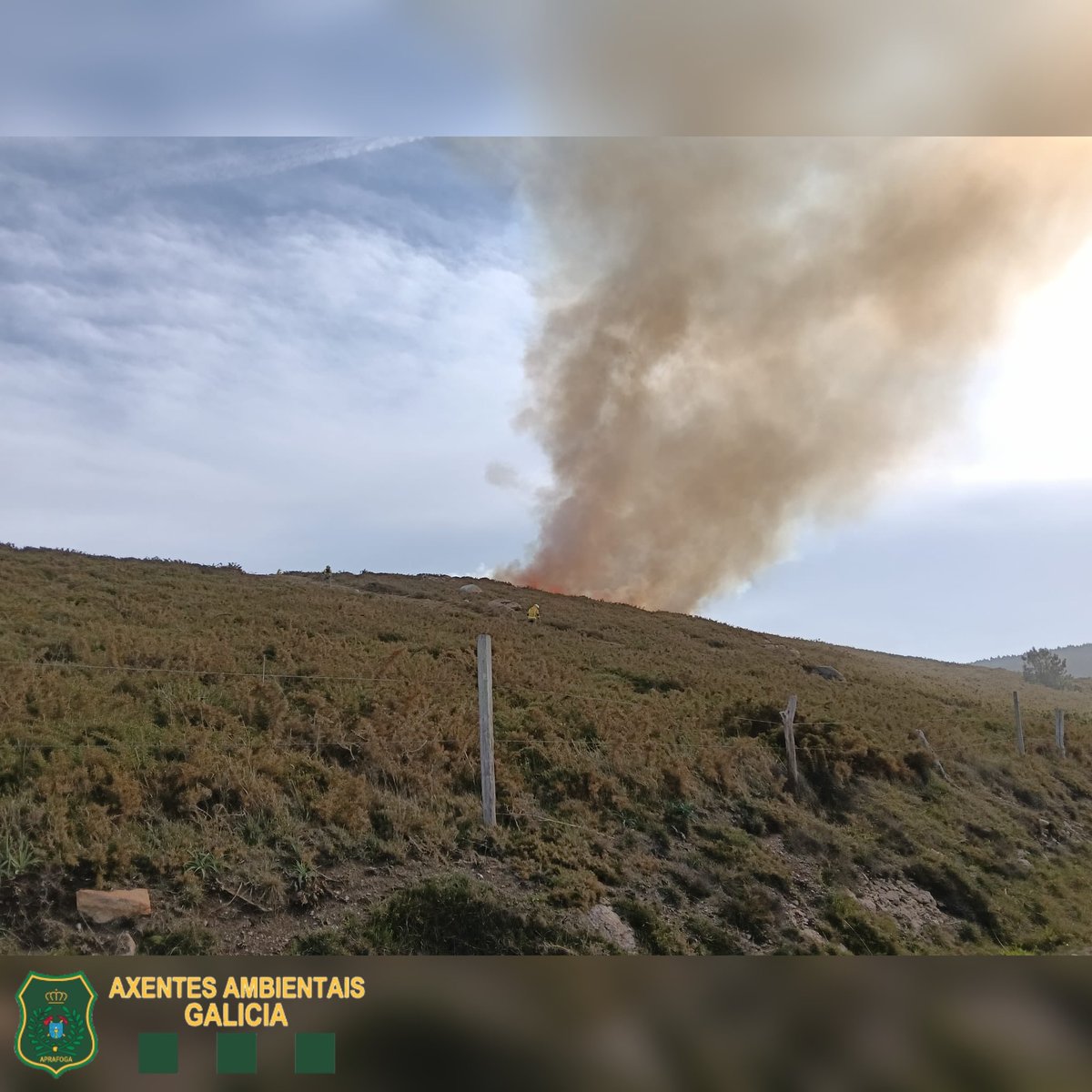 Aprafoga tweet media