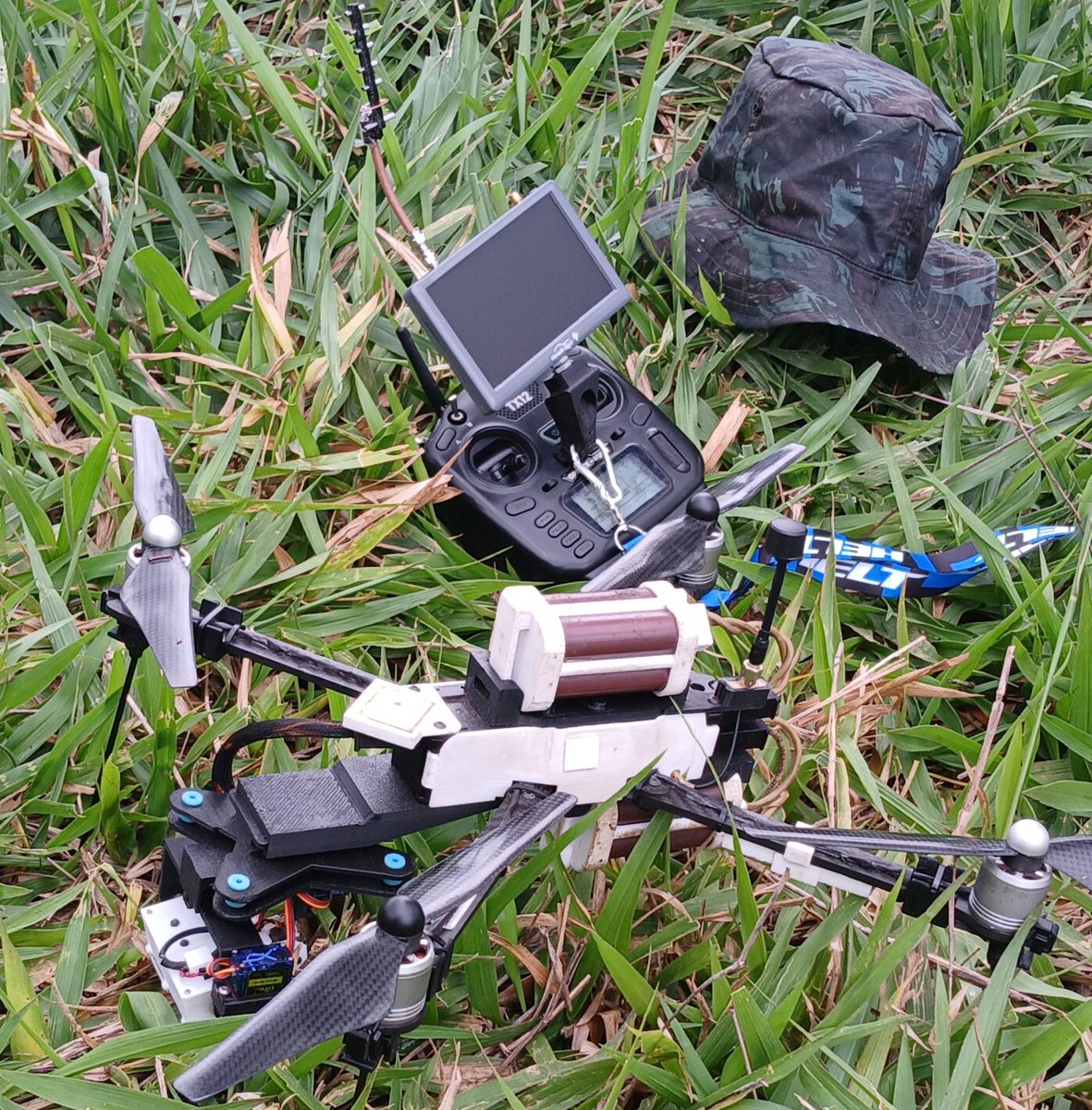 Rodrigo N Hernandez tweet media