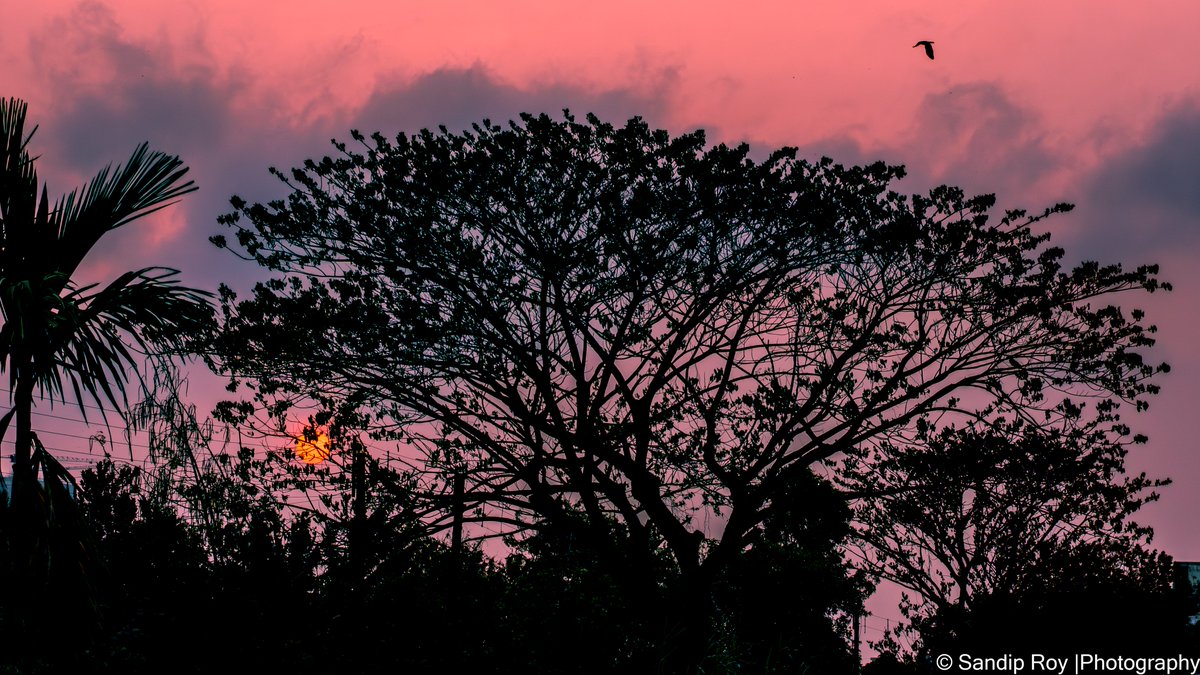 SanRoy_2003's tweet photo. sunset #natureframe https://t.co/LmylfzvQAC