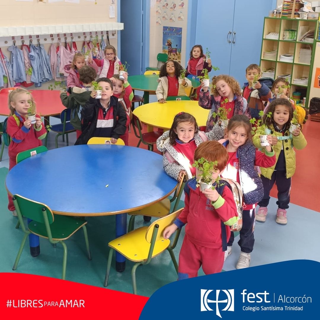 C Santisima Trinidad tweet media