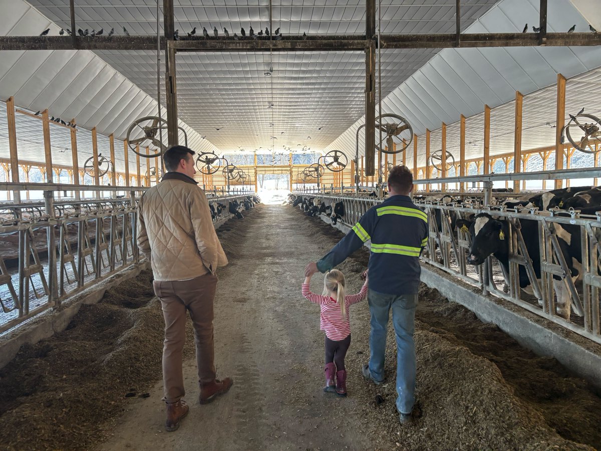 Rep. Josh Riley tweet media