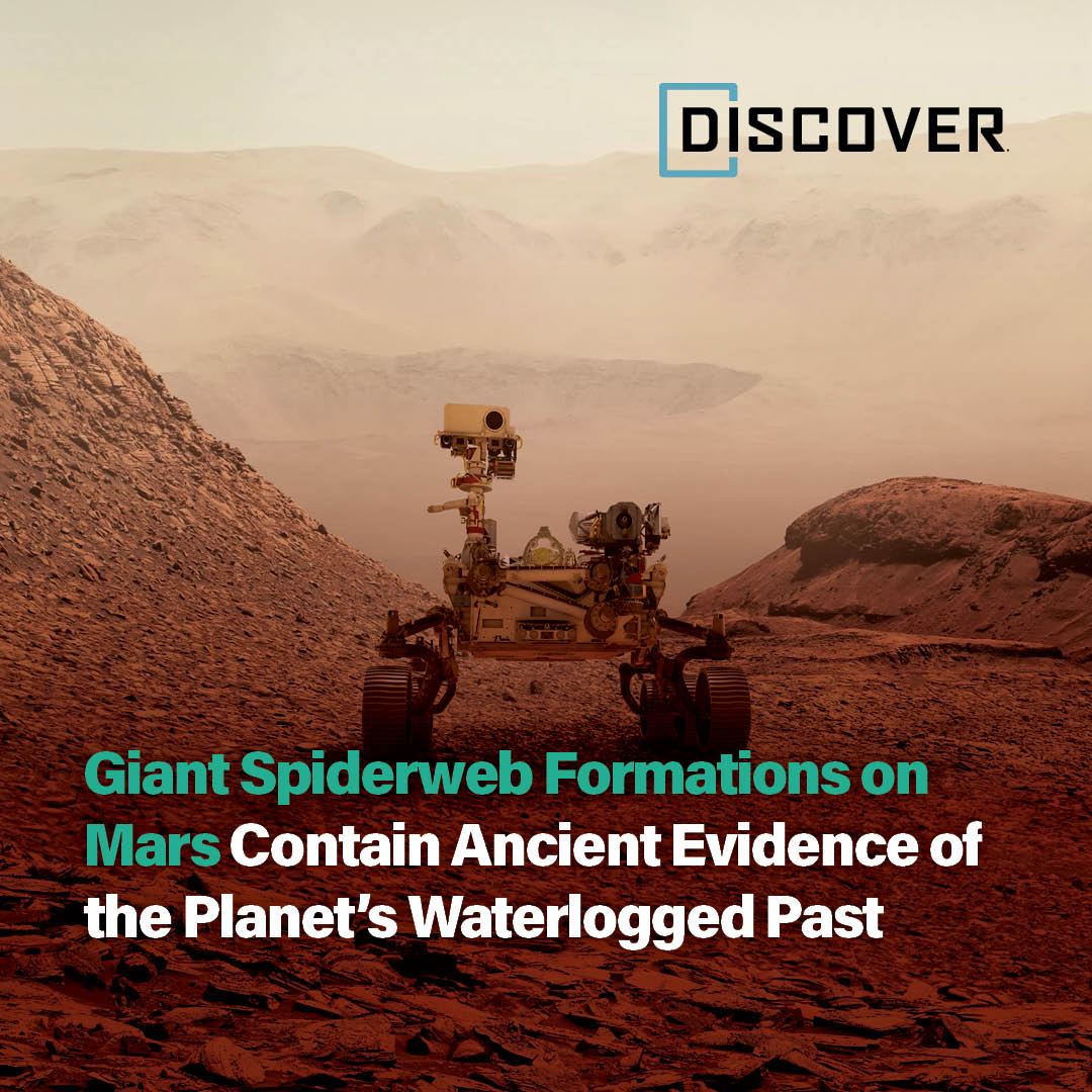 Discover Magazine tweet media