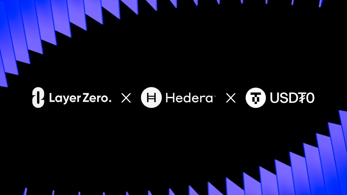 Hedera Español tweet media