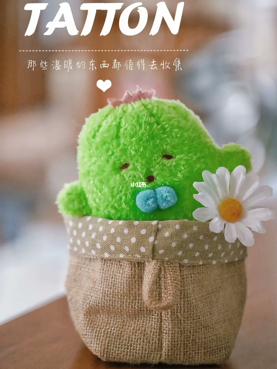 Bruce Coulthard tweet media