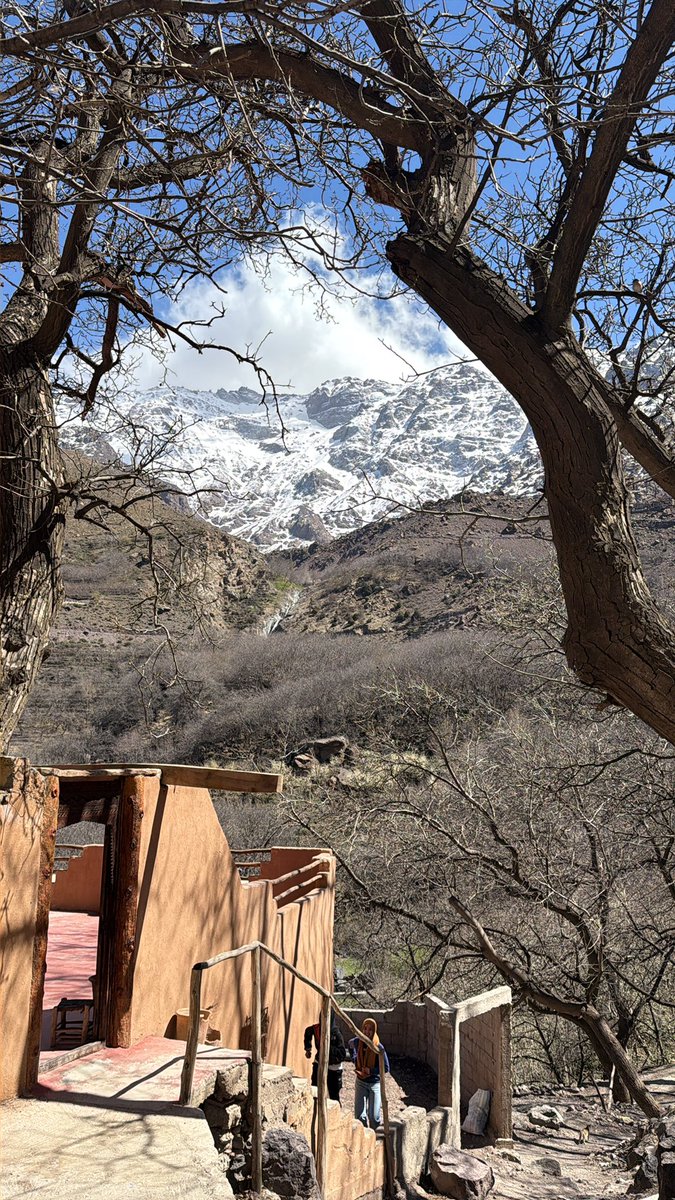 Denis Kaczynski (MOGUL) tweet media