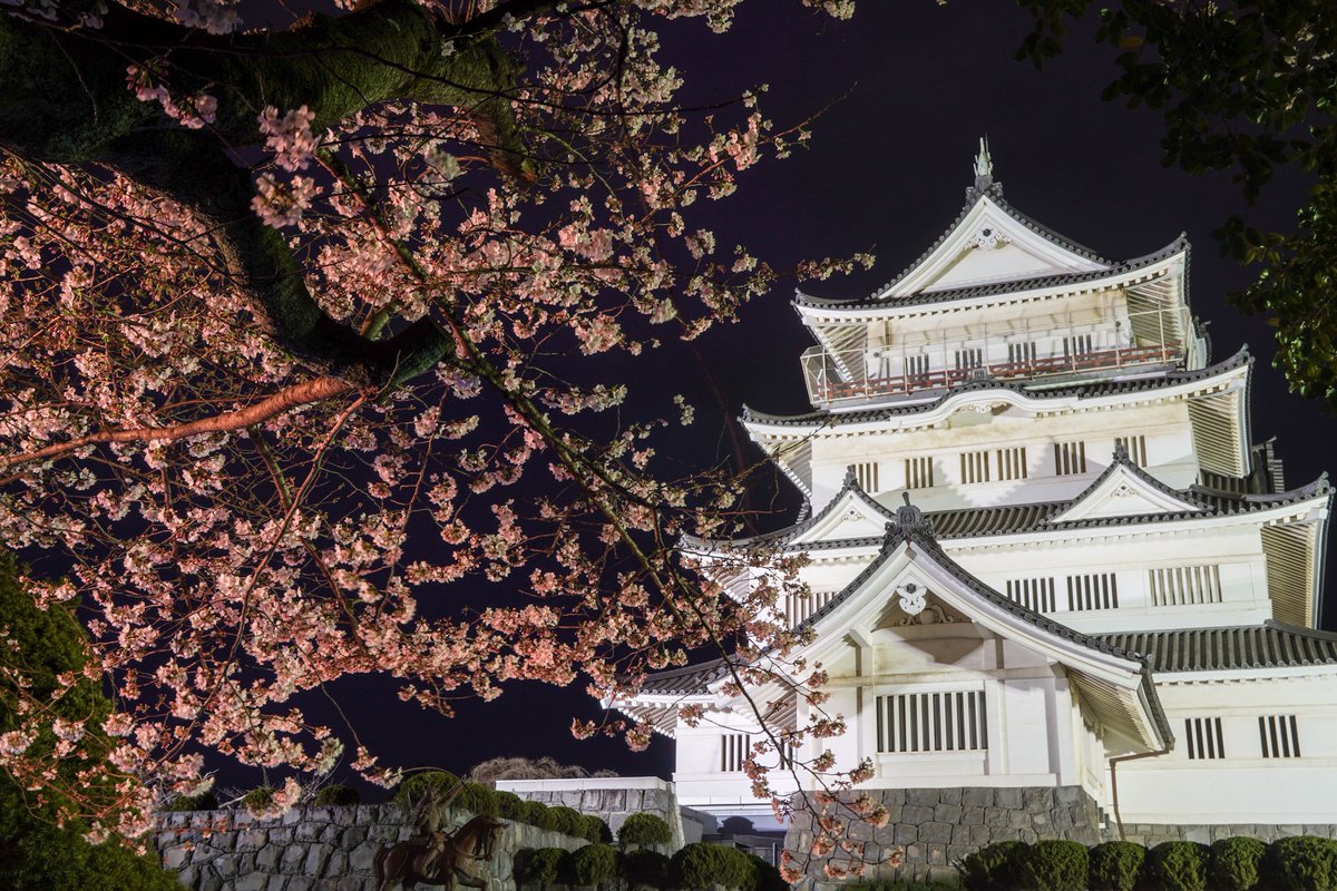 chiba_citysales's tweet photo. #千葉市 の春の風物詩がいよいよやってくる🙌
🌸🏯第25回 #千葉城さくら祭り 🏯🌸
📅3/28(土)～4/5(日)📍亥鼻公園

千葉さんが🐟#竹炭グルメ🎍クラフトビール🍺など地元グルメやお祭りおなじみの屋台・キッチンカーが大集合😋
18時からは千葉城と夜桜のライトアップも✨
https://t.co/RXxtj7p6ga https://t.co/s0sHcMkCiX
