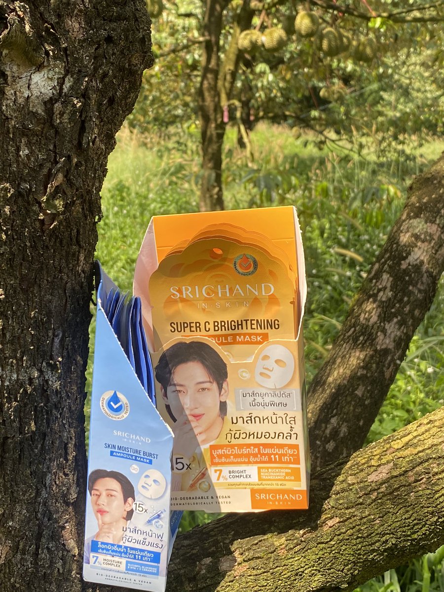 คูมแม่เทาเทา BAMESIS ∋∈🇹🇭 tweet media