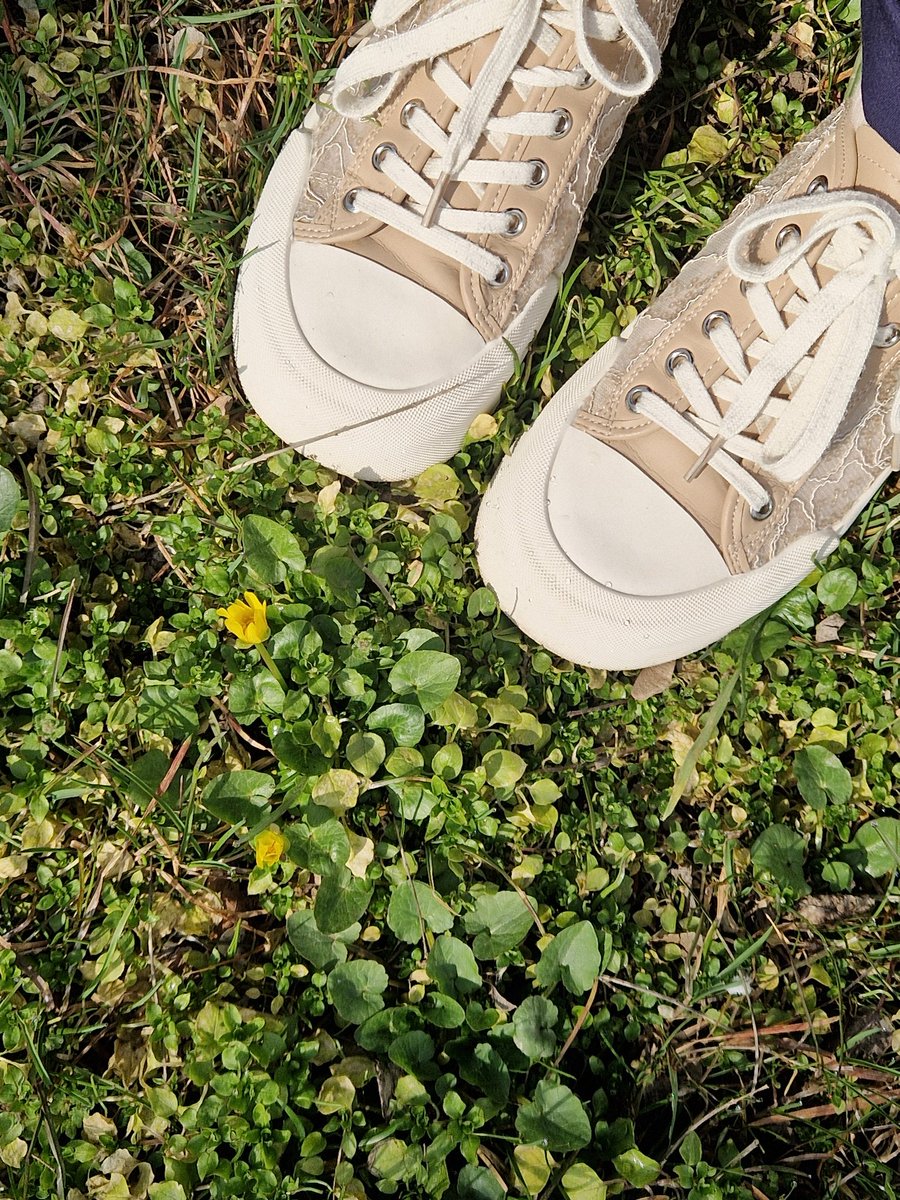 ваше фанючество tweet media