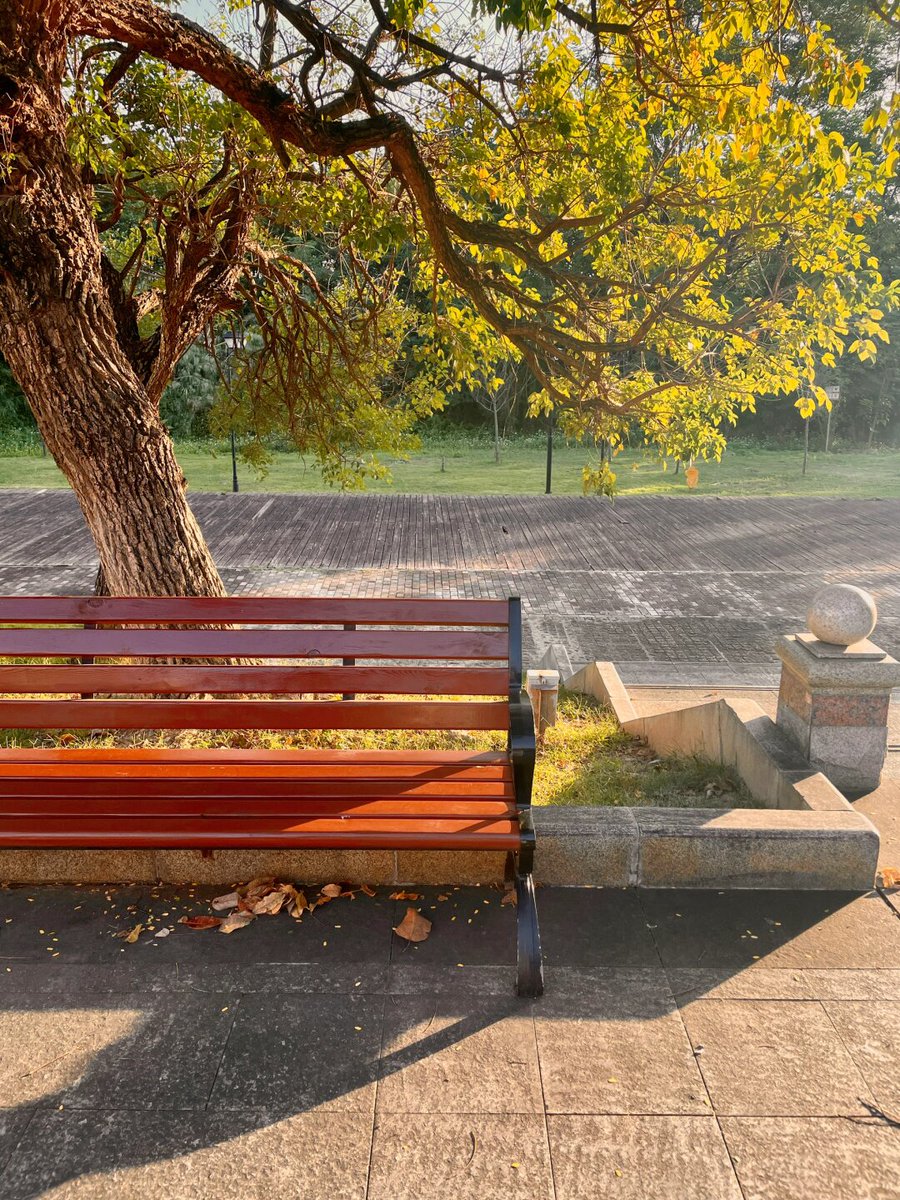 诗景莫 ❤️ Memecoin tweet media