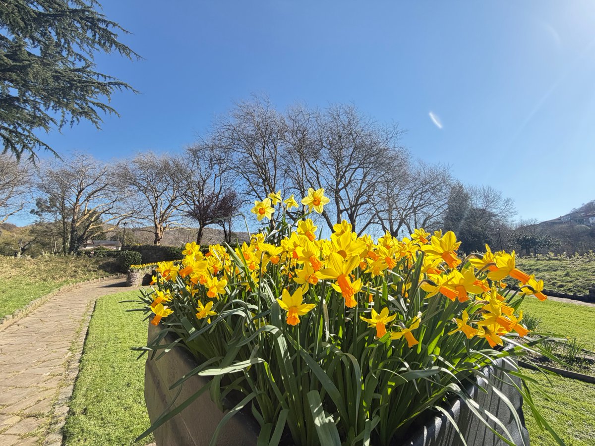 Emmawales123 tweet media