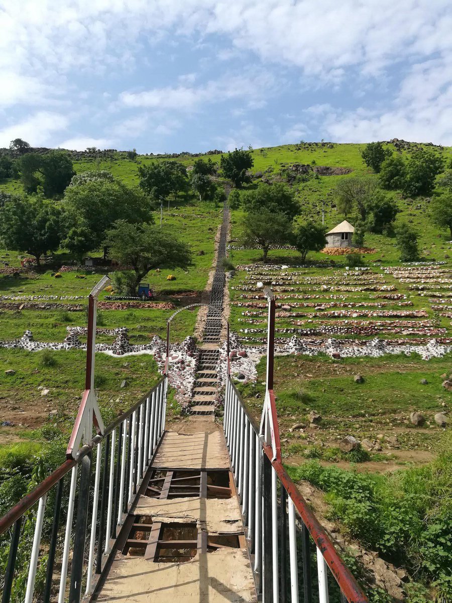 Dalia ElMahdi tweet media