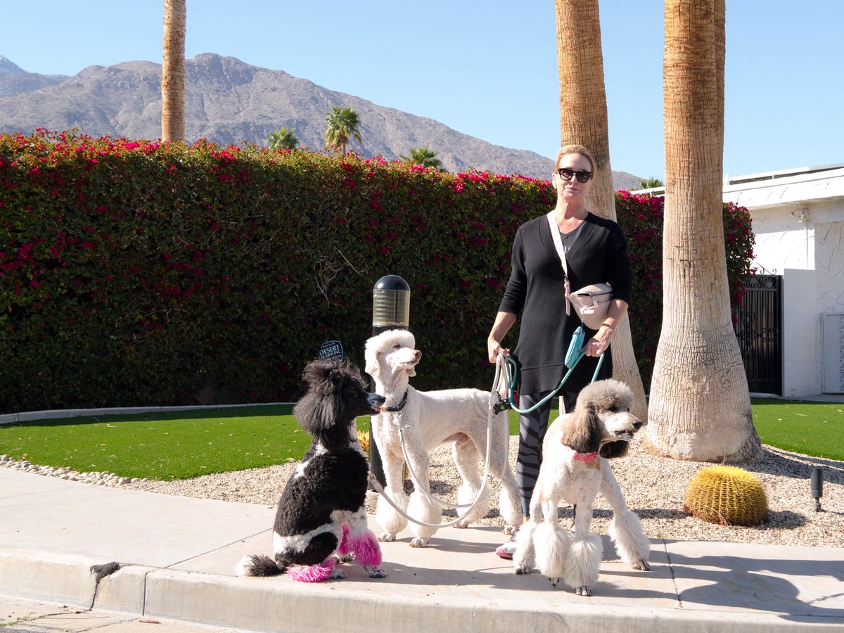 Oliver Dahl tweet media