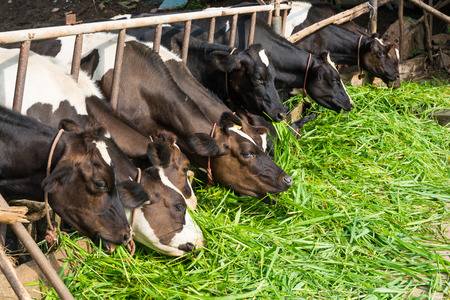 AgriRocket tweet media