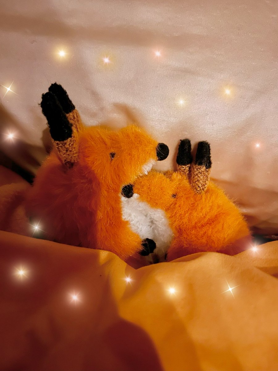 めんつゆ🦊。 tweet media