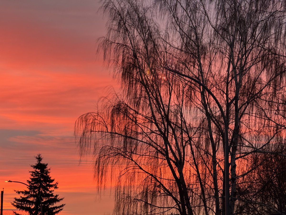 "Princess" Brenda Brown- Now at the "Garden House" tweet media