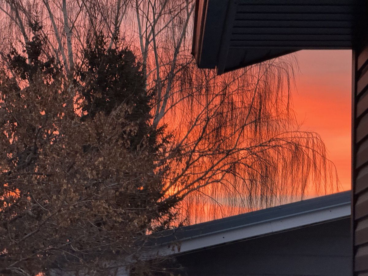 "Princess" Brenda Brown- Now at the "Garden House" tweet media