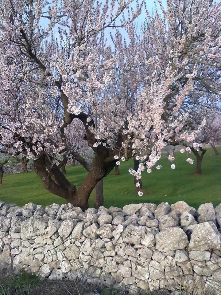 Michelangelo_C♏️ tweet media