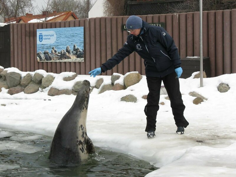 Uniwersytet Przyrodniczy we Wrocławiu tweet media