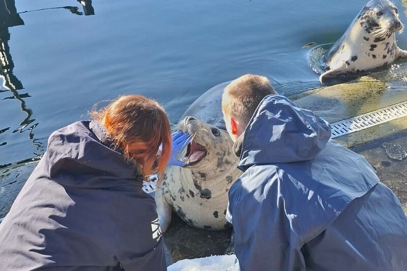 Uniwersytet Przyrodniczy we Wrocławiu tweet media