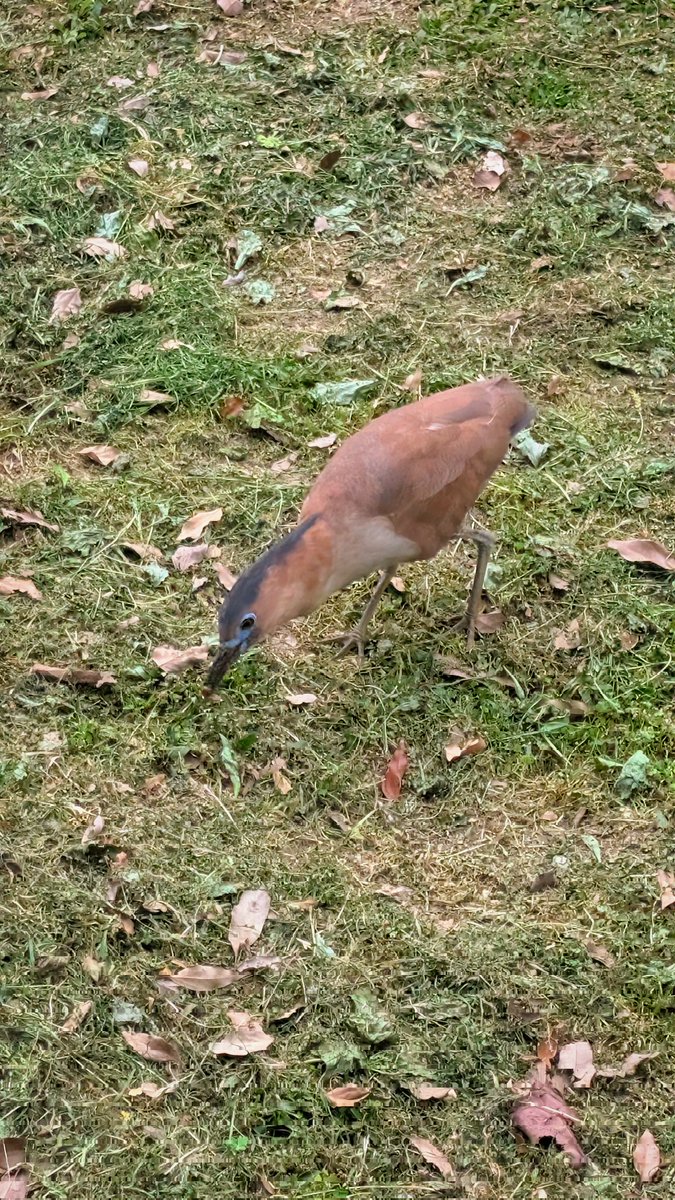 松鼠 🐿️ tweet media