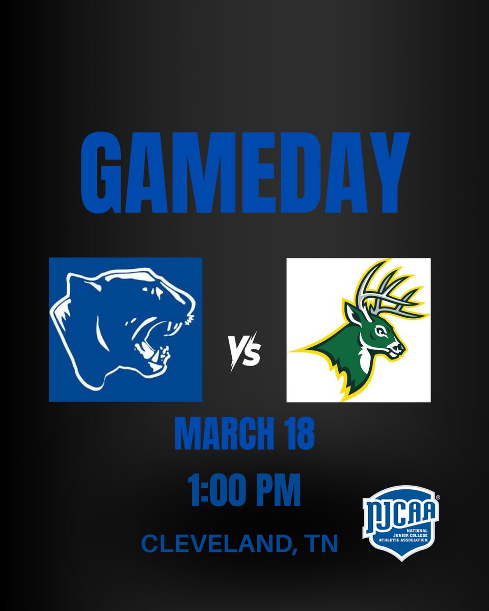 Cleveland State ⚾️ tweet media